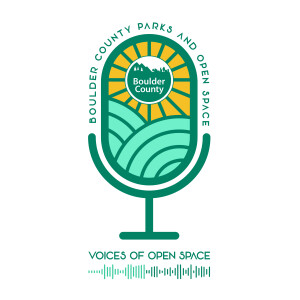 Voices of Open Space