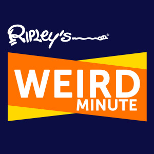 Ripley's Weird Minute