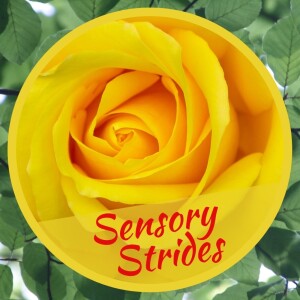 Sensory Strides podcast