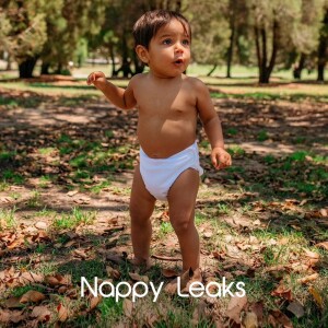 Nappy Leaks