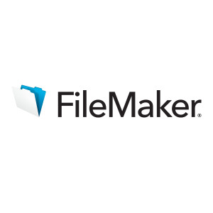 The FileMaker File