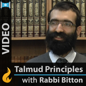 Discovering Talmudic Principles