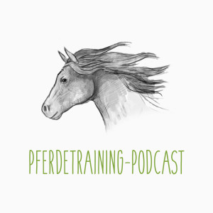 Episode Logo