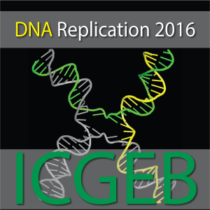 At the Intersection of DNA Replication and Genome Maintenance: from Mechanisms to Therapy