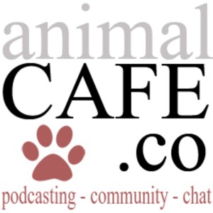 User Podcast Logo
