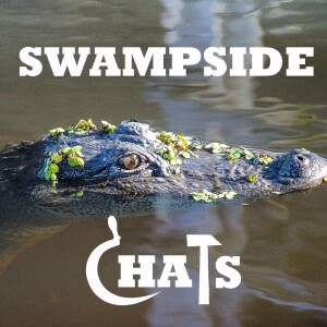 Swampside Chats