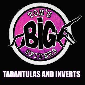 Tom’s Big Spiders - Tarantulas and Inverts