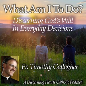 ”What am I to do?” - Discerning the Will of God in Everyday Decisions with Fr. Timothy Gallagher - Discerning Hearts Catholic Podcasts