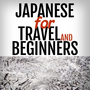 Japanese for Travel and Beginners Archives - Real Life Language