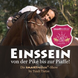 Einssein mit Deinem Pferd von der Pike bis zur Piaffe