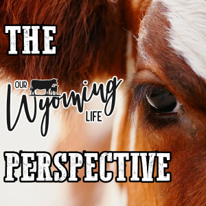 The Our Wyoming Life Perspective
