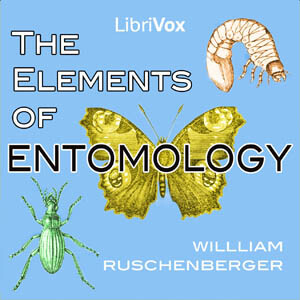 Elements of Entomology, The by William Ruschenberger (1807 - 1895)