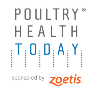 Poultry Health Today