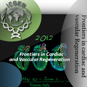 Frontiers in Cardiac and Vascular Regeneration