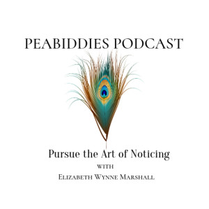 Peabiddies: Pursue the Art of Noticing