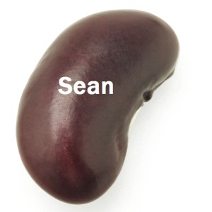 Sean Bean Podcast