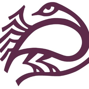 User Podcast Logo