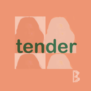 Tender