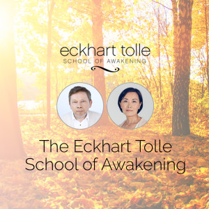 Image result for The Eckhart Tolle School Of Awakening