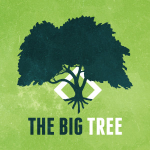 The Big Tree