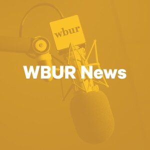 User Podcast Logo