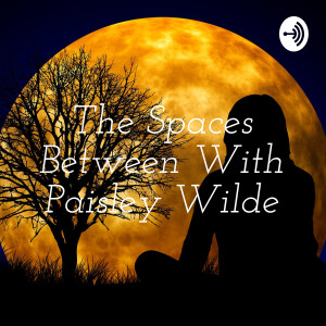 The Spaces Between With Paisley Wilde