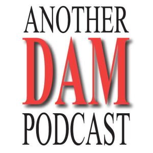 Transcript – Another DAM Podcast