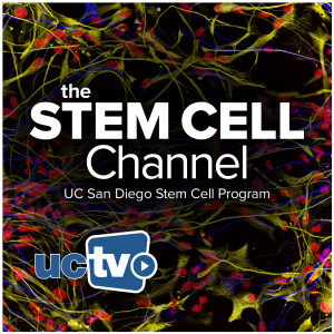 Stem Cell Channel (Audio)