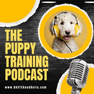 The Puppy Training Podcast