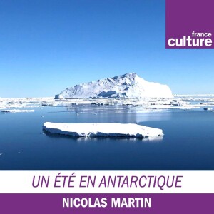 Un été en Antarctique