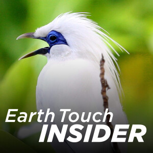 Earth Touch Insider (HD)