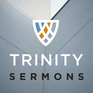 Sermons from Trinity Reformed Church