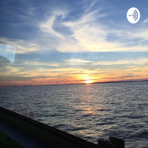 User Podcast Logo