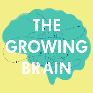 User Podcast Logo