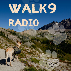 WALK9 Radio