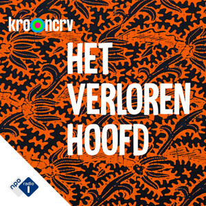 Het verloren hoofd