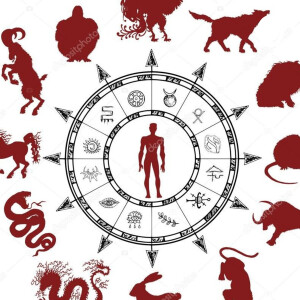 Chinese Zodiac