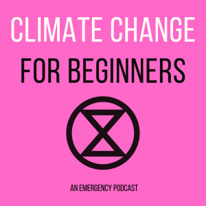 Climate Change for Beginners: An Extinction Rebellion Podcast