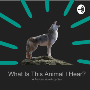 What is this Animal I Hear?