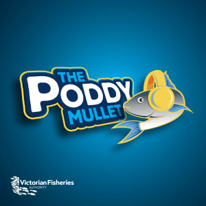 The Poddy Mullet