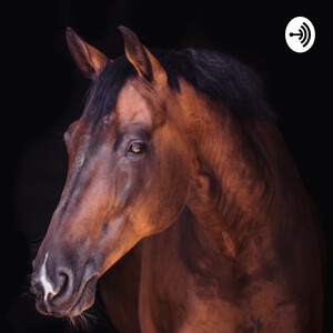 The Gift of The Horse Podcast