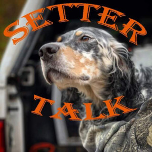 User Podcast Logo