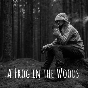 A Frog in the Woods