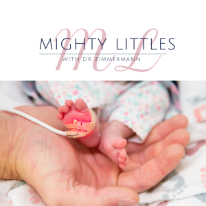 Parenting Mighty Littles: Parenting from the NICU and Beyond