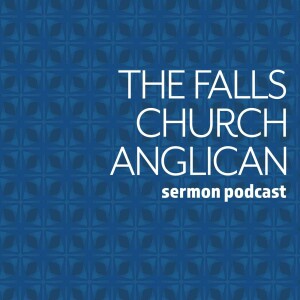 Following-logo