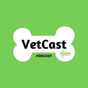 User Podcast Logo