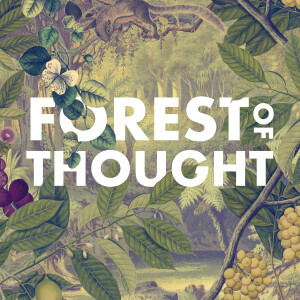 Forest of Thought