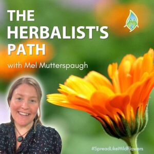 The Herbalist’s Path