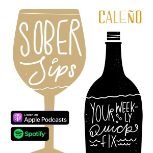 User Podcast Logo