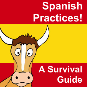 Spanish Practices - Real Life in Spain